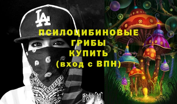 индика Иннополис